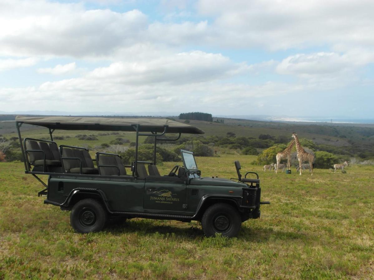 Fijnbosch Game Lodge Jeffreys Bay Exterior photo